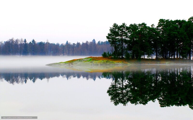 Foggy lake with forest reflection