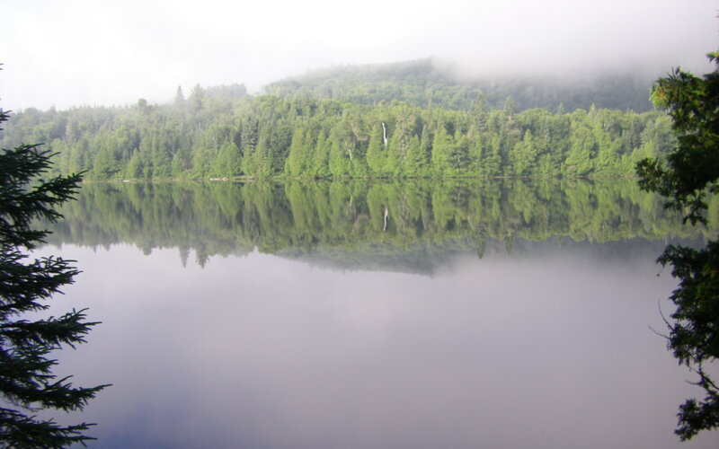 Foggy lake with forest reflection