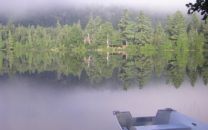 foggy lake with forest reflection