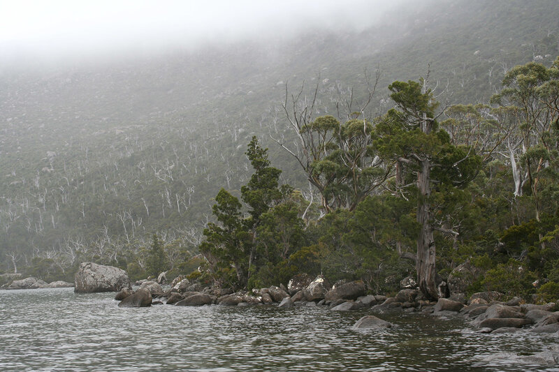 foggy lake with forested hills