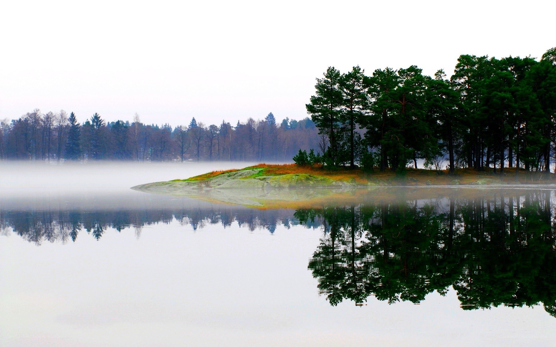 Foggy lake with island reflection