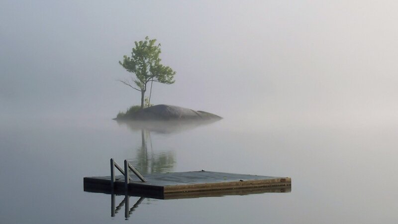 Foggy lake with lone tree