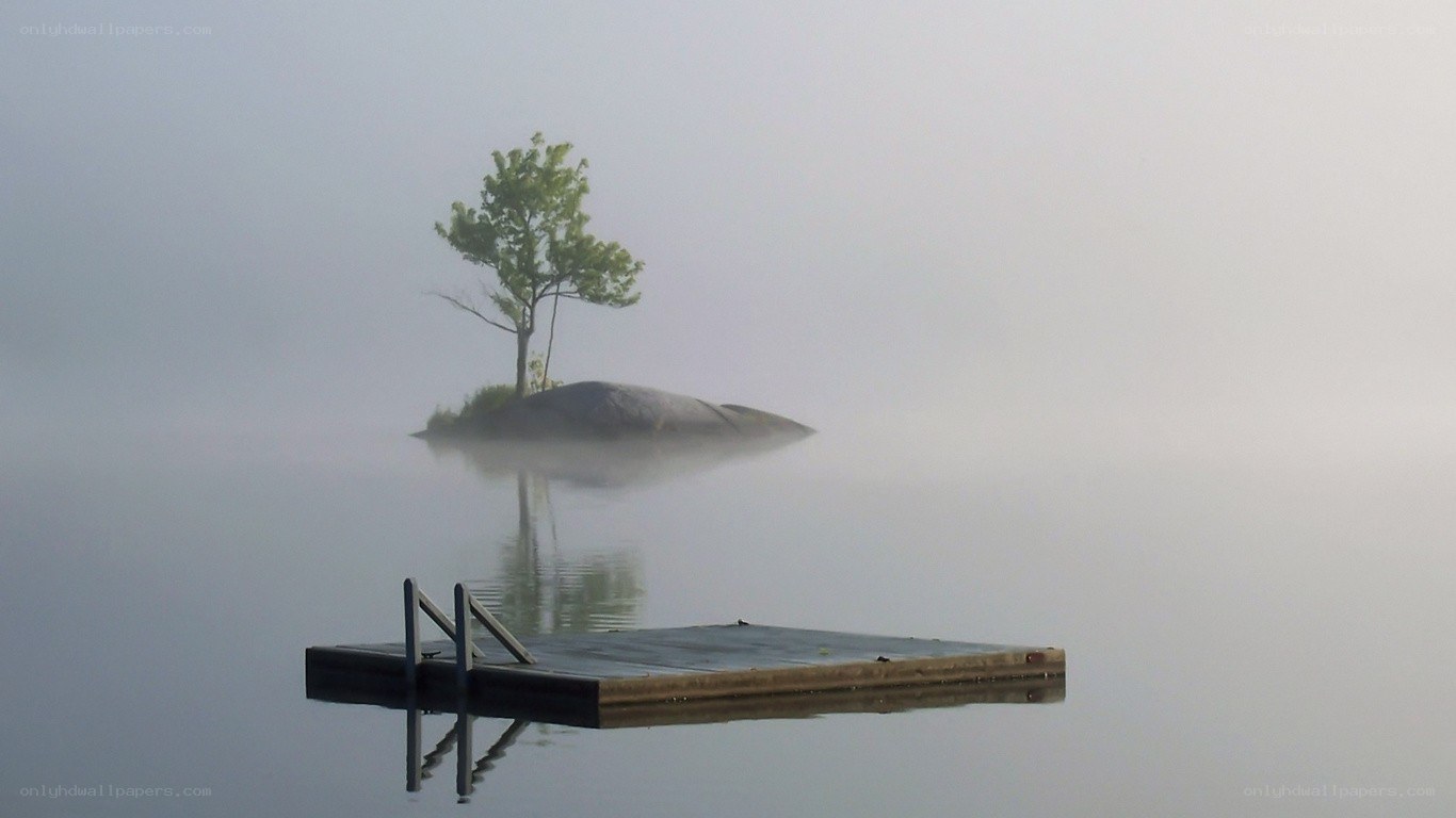 Foggy lake with lone tree