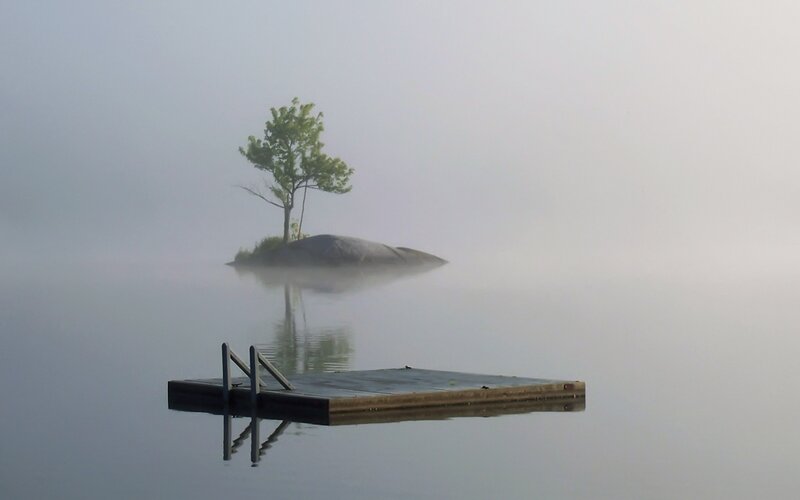 Foggy lake with lone tree