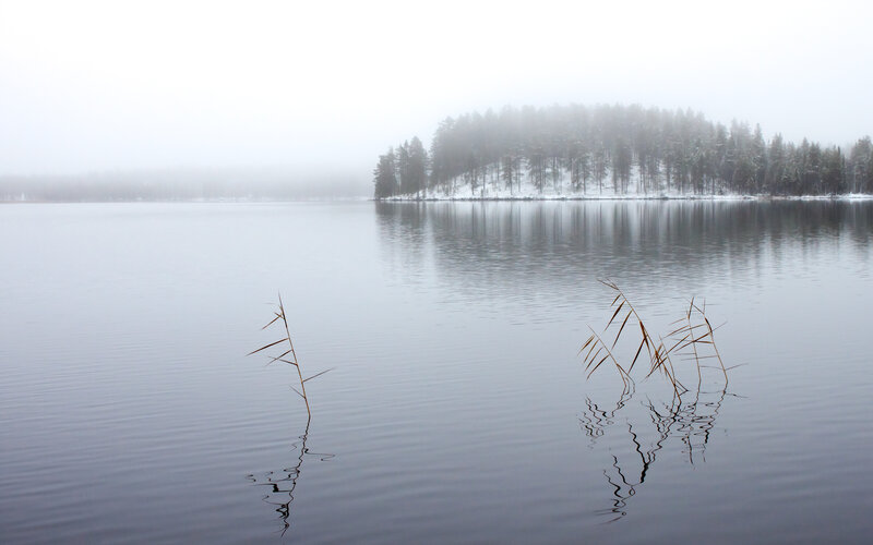 Foggy Lake with Reeds — Gray