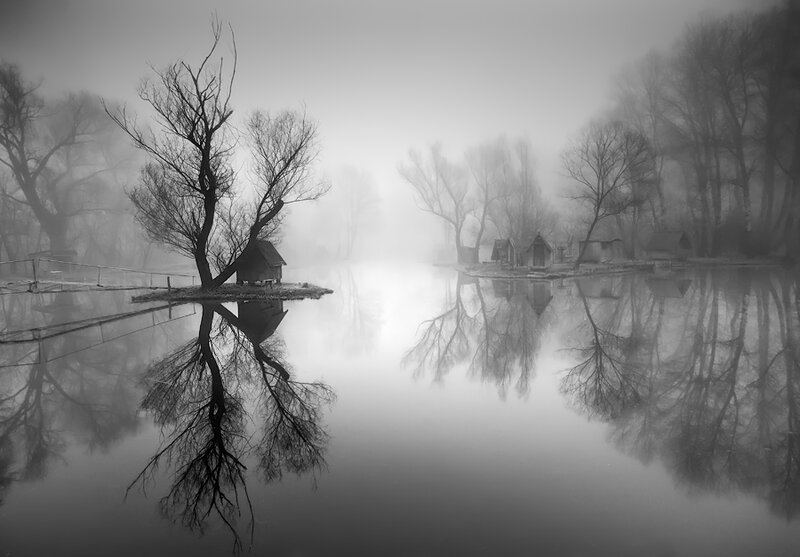 Foggy Lake with Reflections