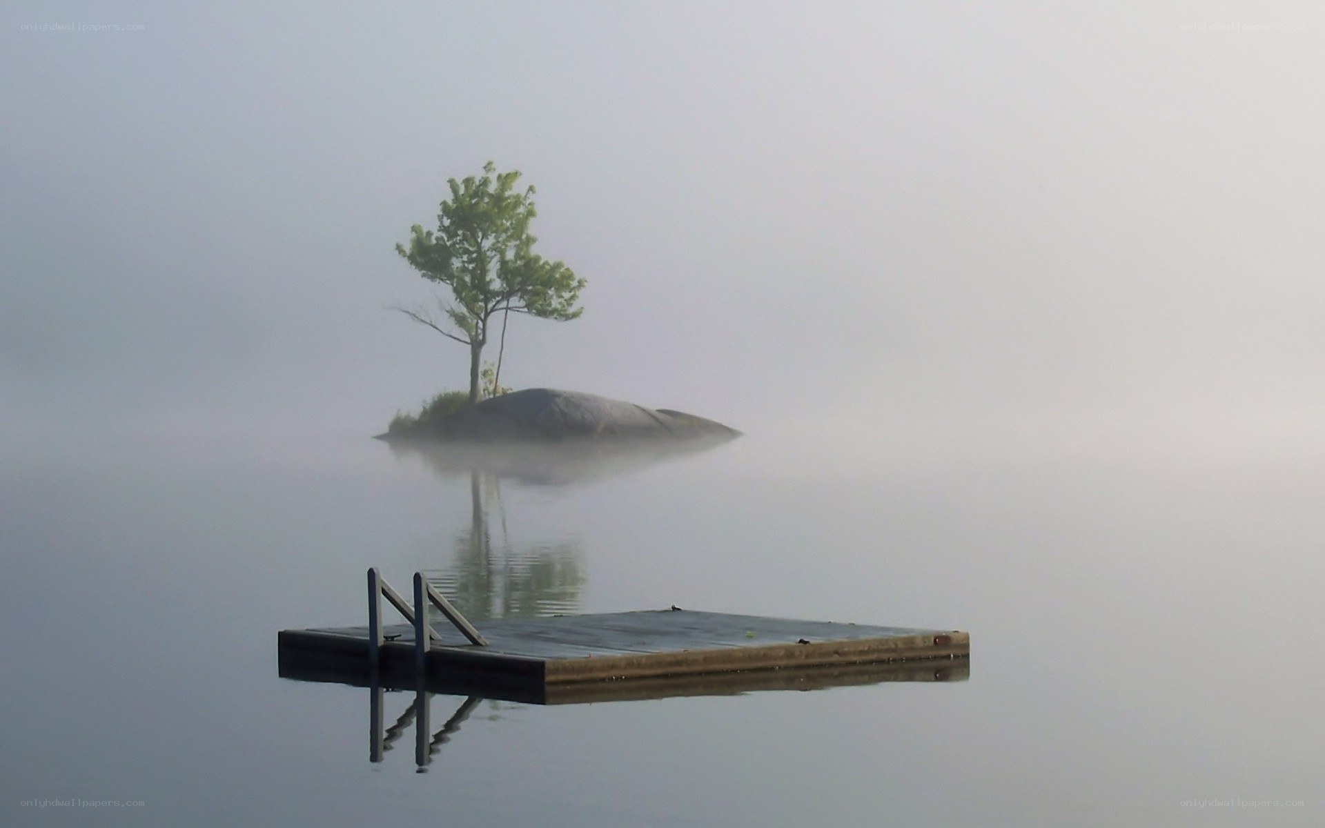 Foggy lake with tree and dock