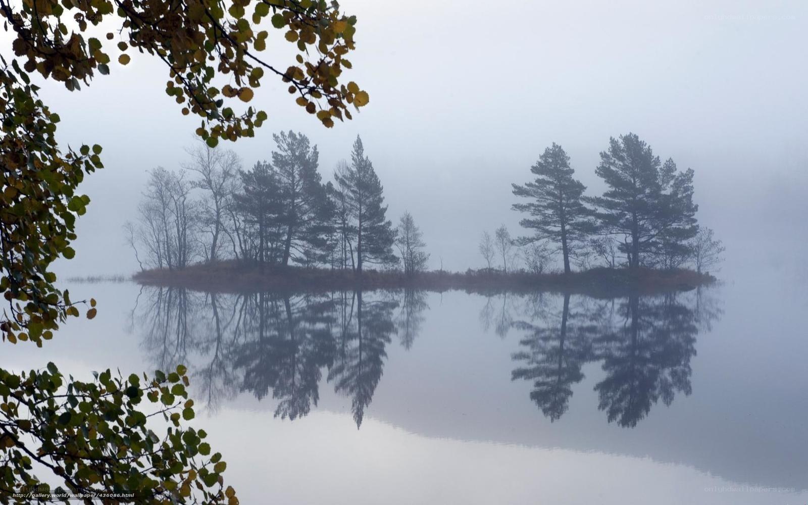 Foggy lake with tree reflection