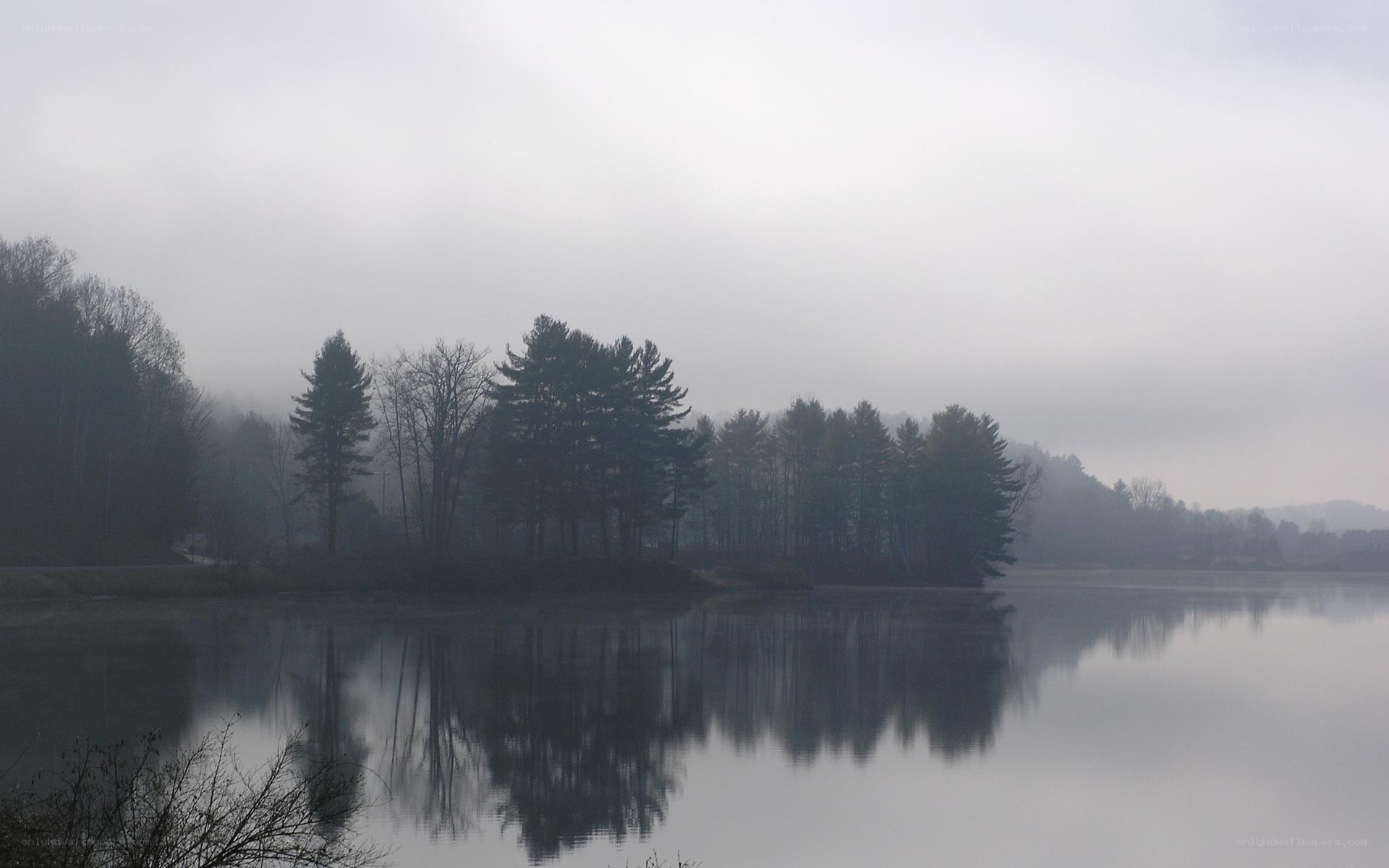 Foggy lake with tree reflections