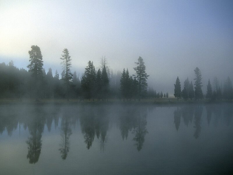 Foggy lake with tree reflections