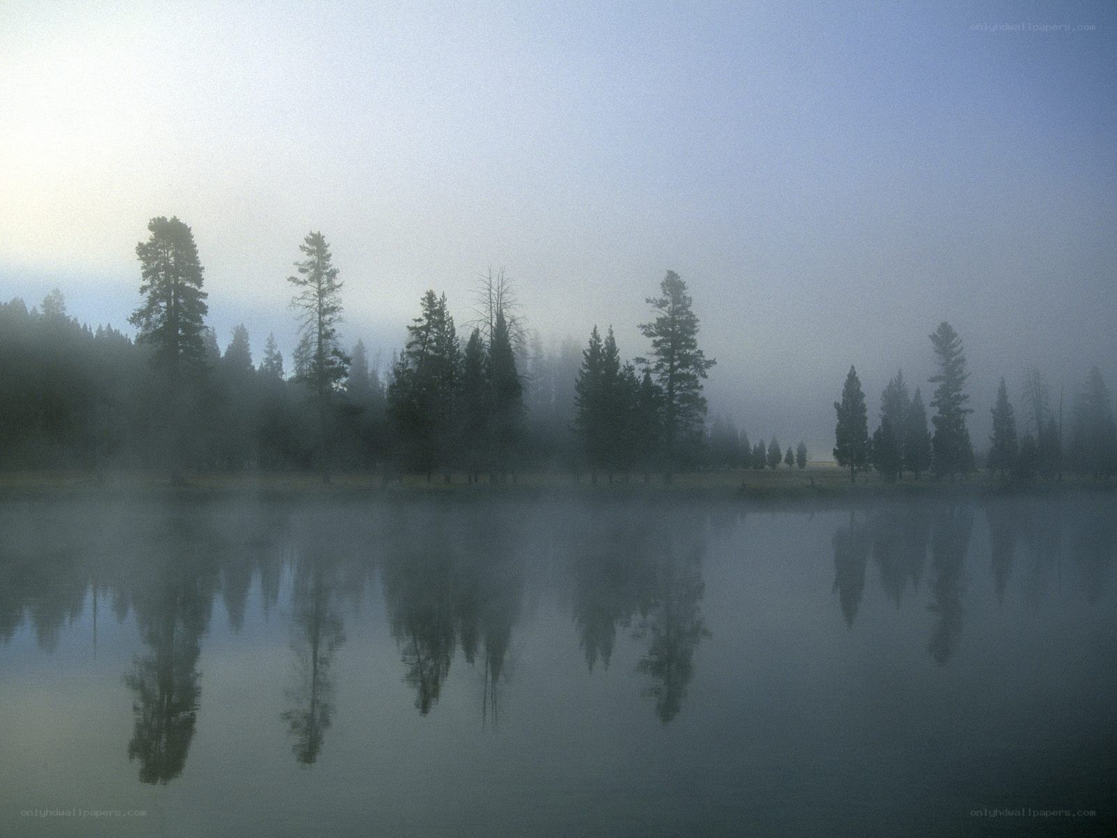 Foggy lake with tree reflections