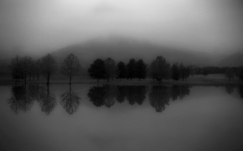 Foggy lake with tree reflections