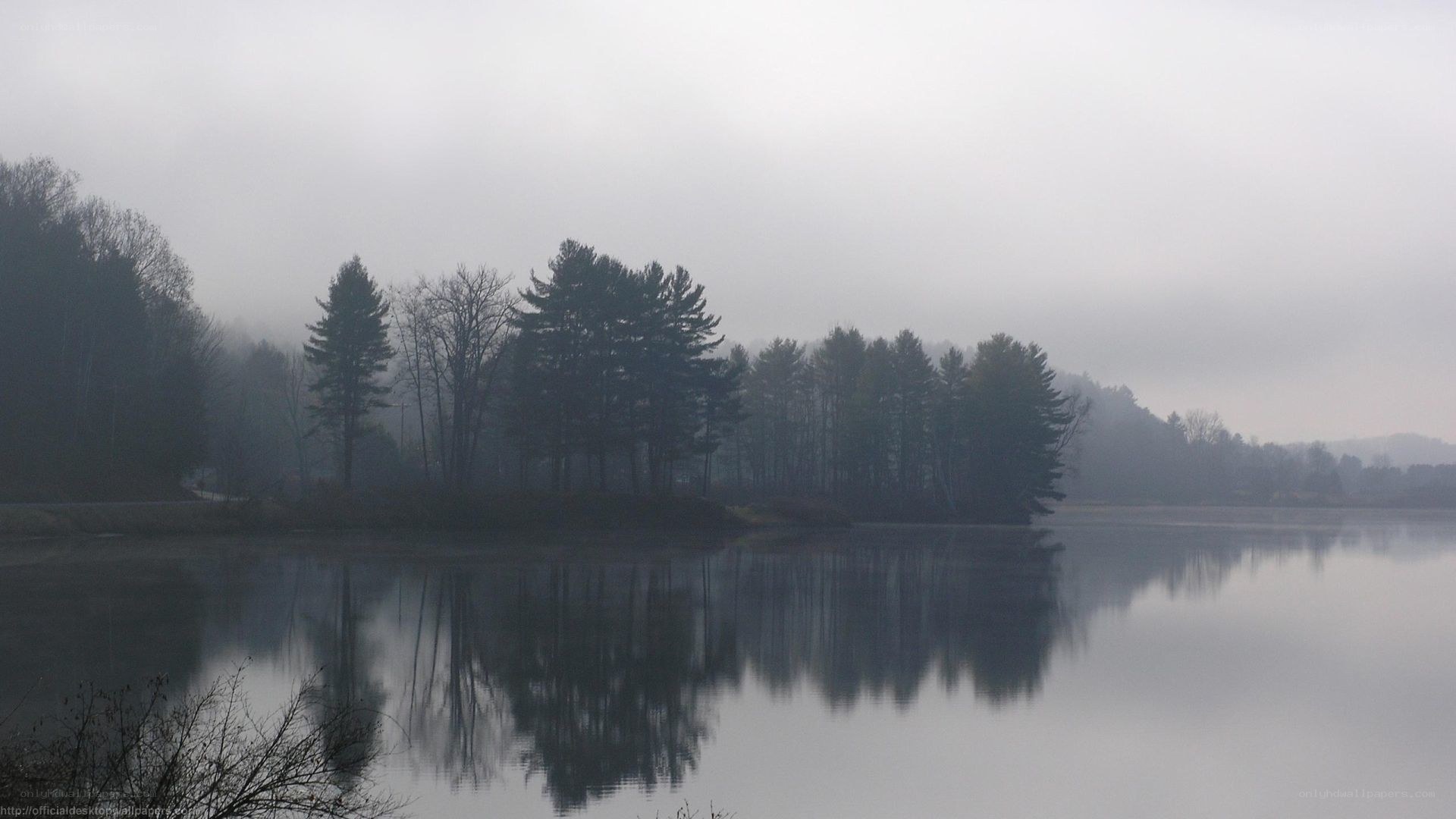 foggy lake with tree reflections
