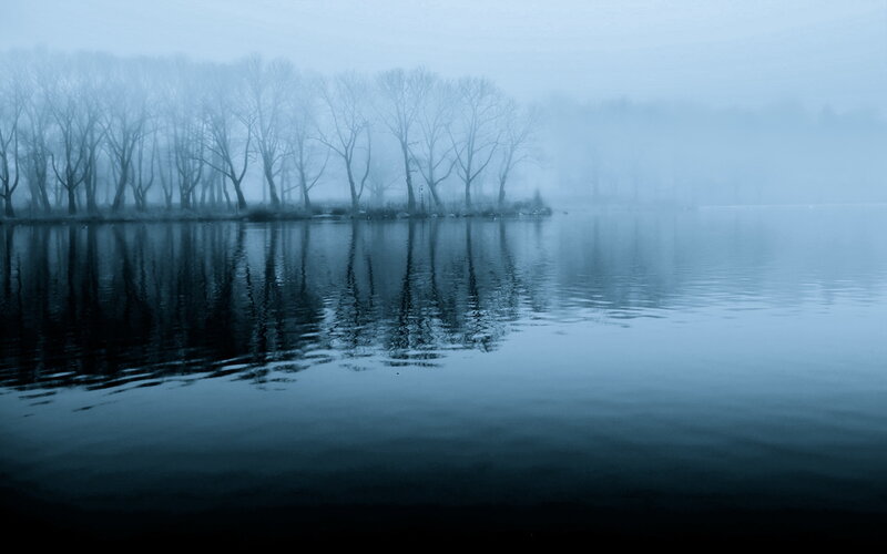 Foggy lake with tree reflections