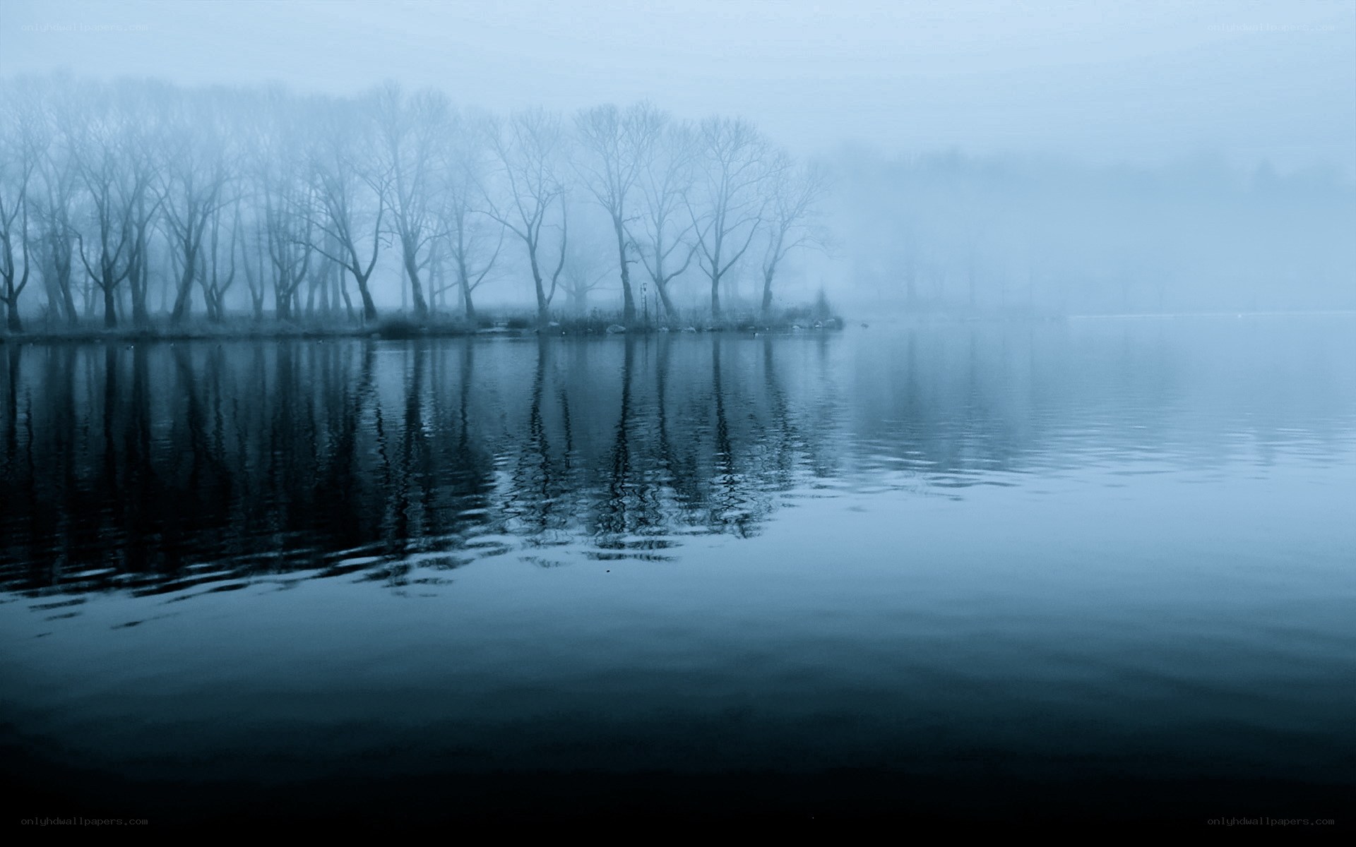 Foggy lake with tree reflections