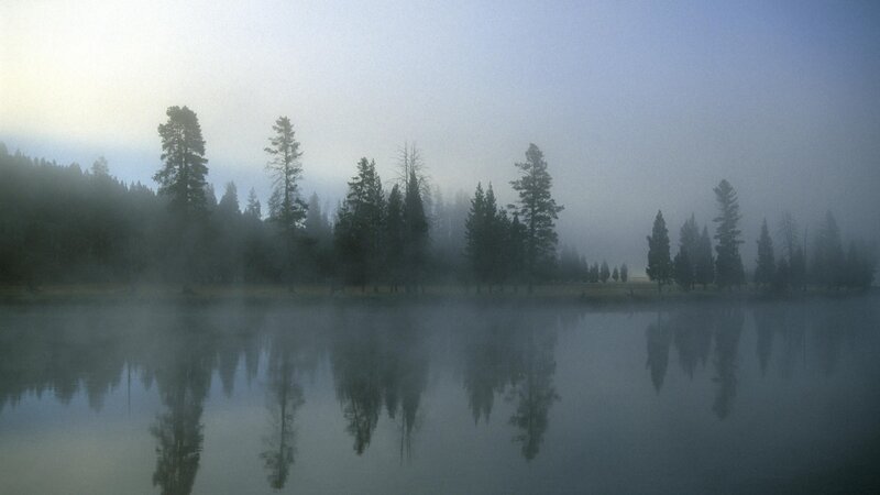 foggy lake with tree reflections