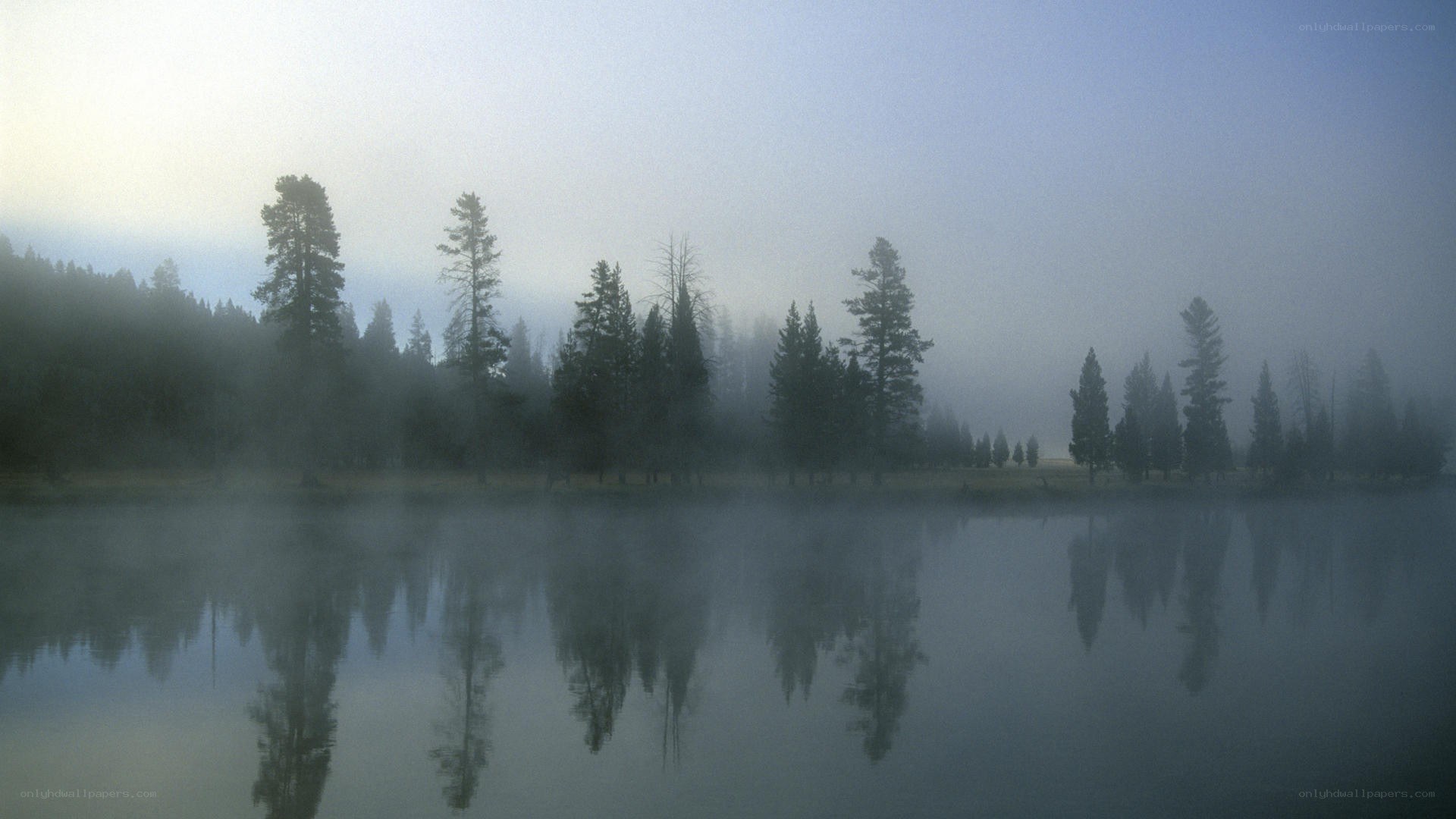 foggy lake with tree reflections