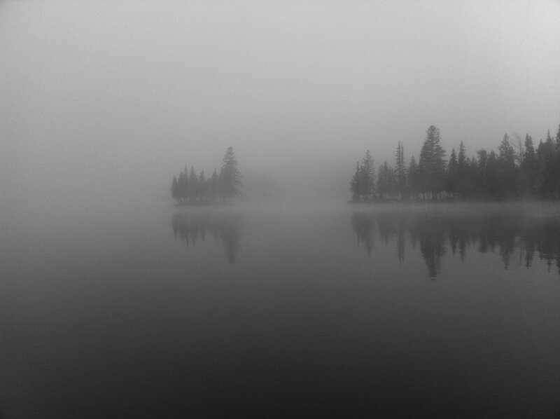 Foggy lake with tree reflections