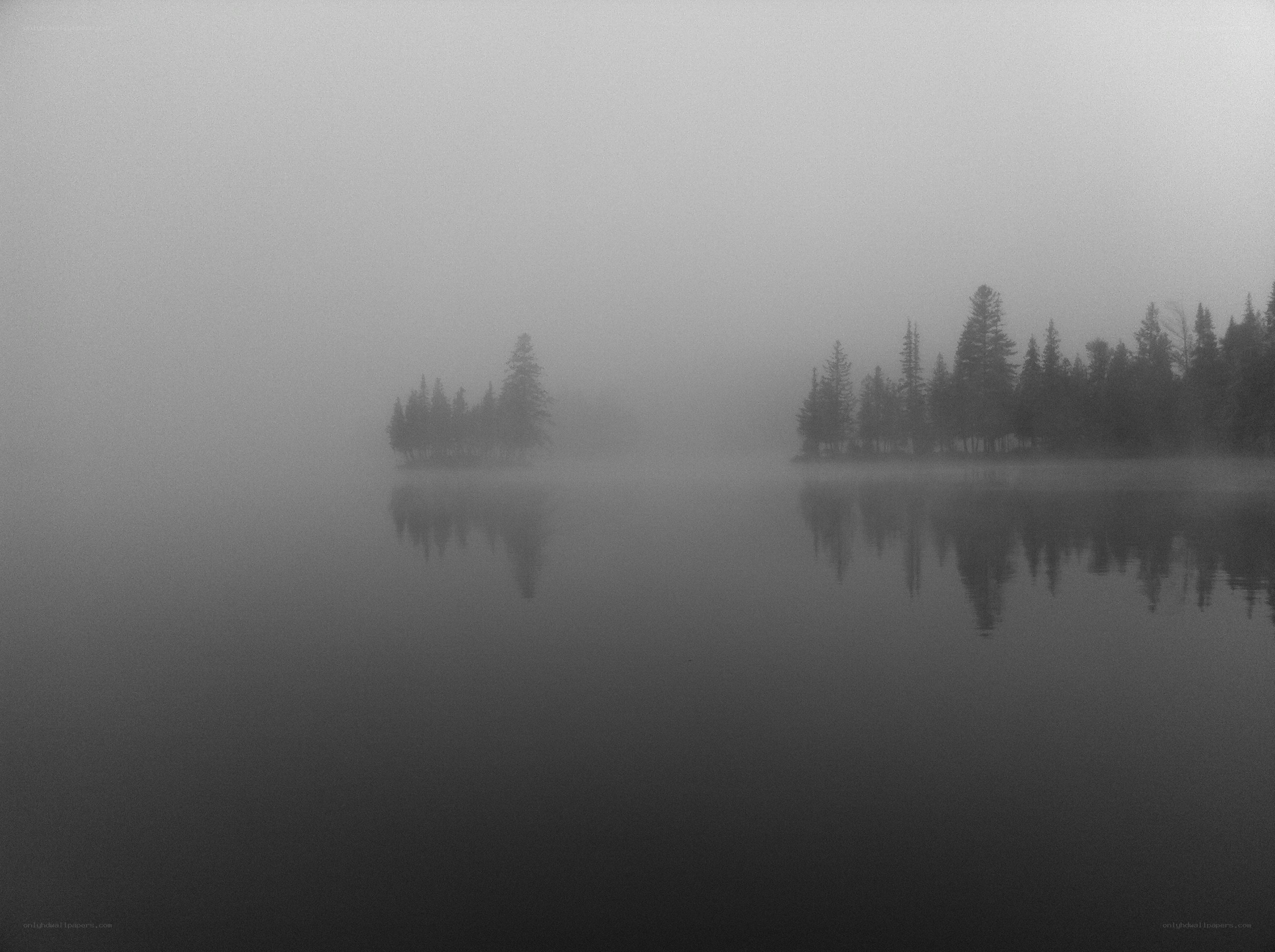 Foggy lake with tree reflections
