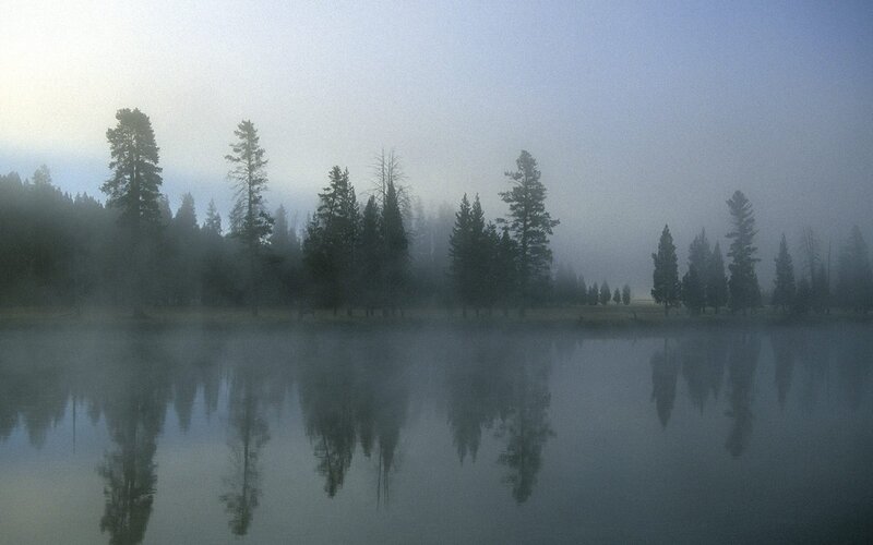 Foggy lake with tree reflections
