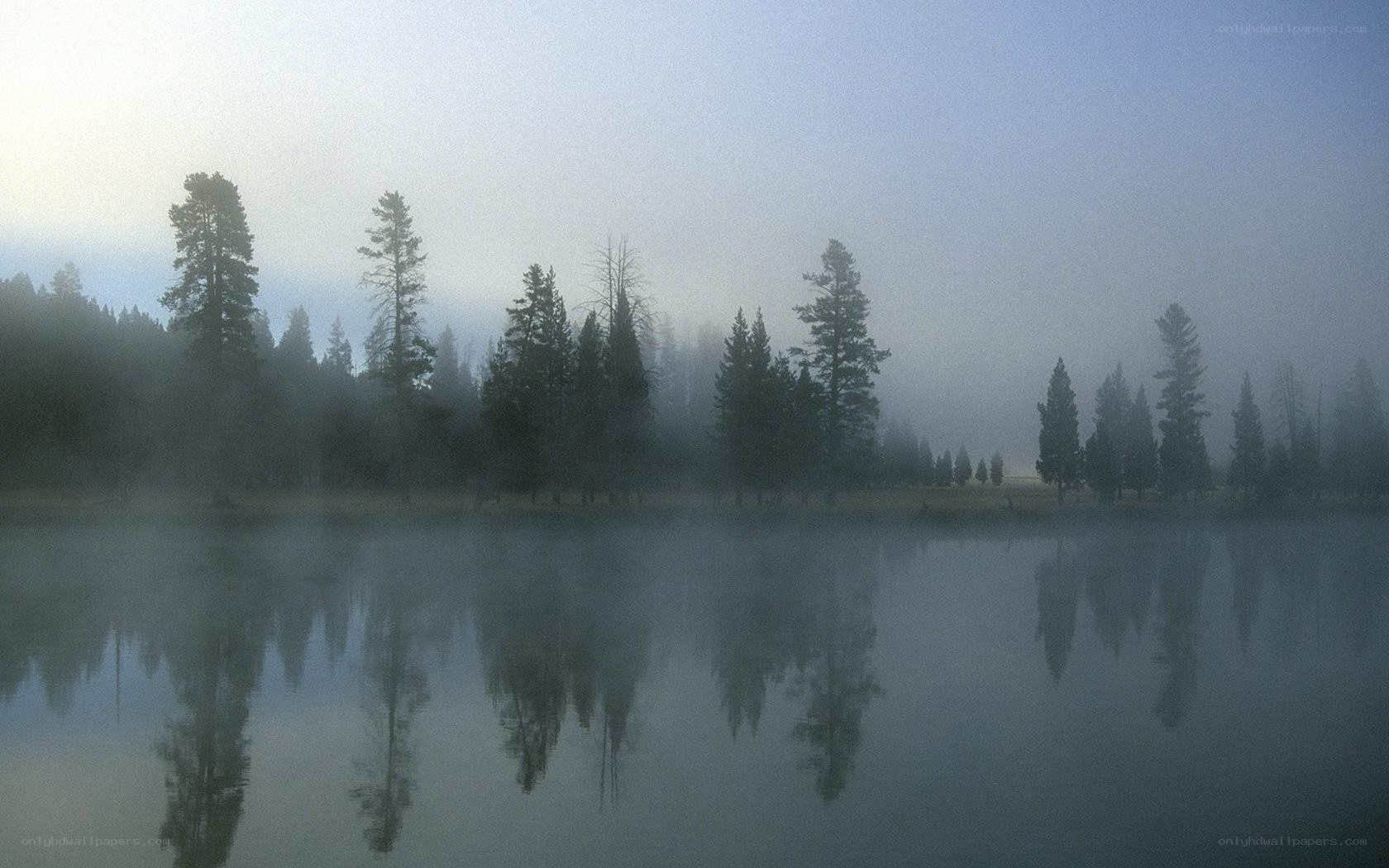 Foggy lake with tree reflections
