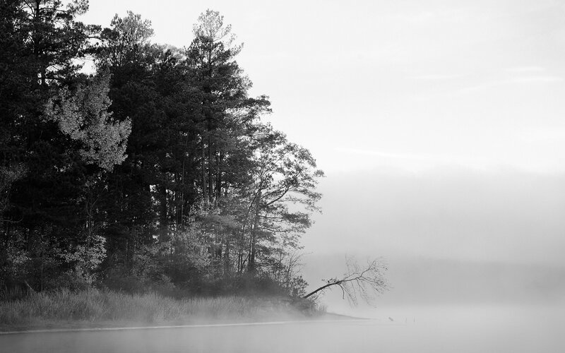 Foggy lake with trees