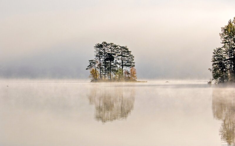 Foggy lake with trees