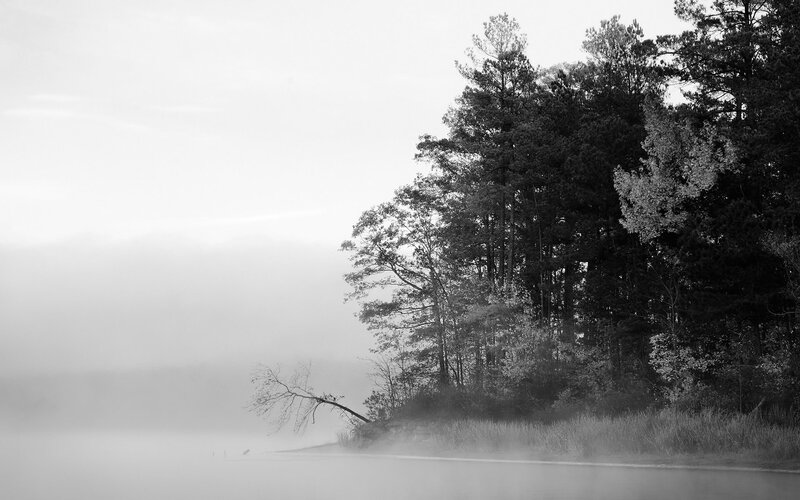 Foggy Lake with Trees — Black