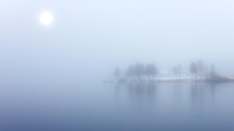 Foggy Lake with Trees — Blue, Misty, Morning, Photograph, Sun