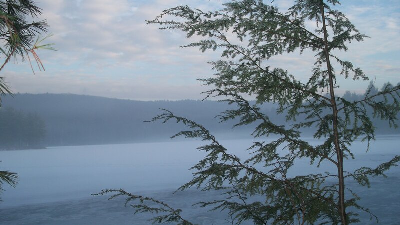 Foggy Lake with Trees — Blue