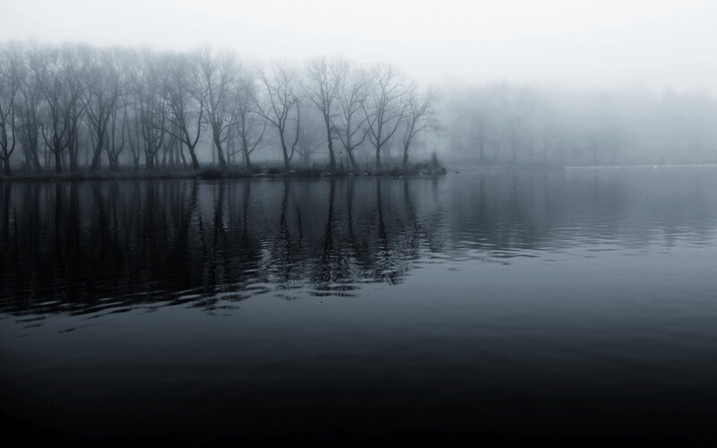 Foggy Lake with Trees — Gray, Misty, Morning, Photograph