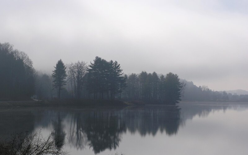 Foggy Lake with Trees — Gray, Misty