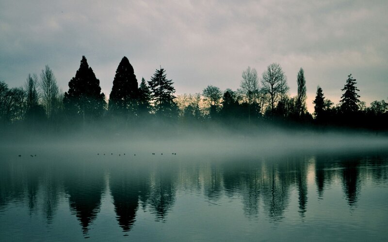 Foggy Lake with Trees — Gray, Serene