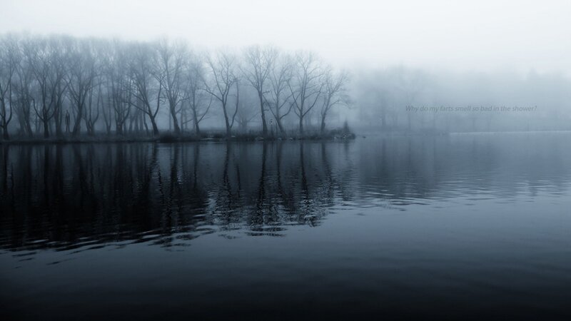 Foggy Lake with Trees — Gray, Somber