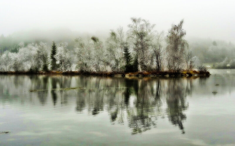 Foggy Lake with Trees — Gray