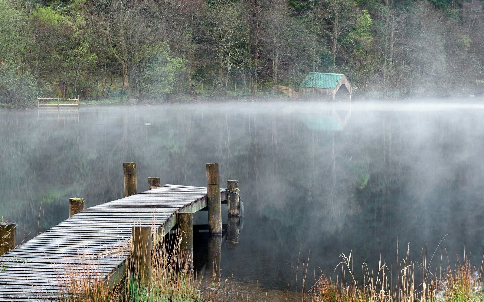 Foggy lake with wooden dock