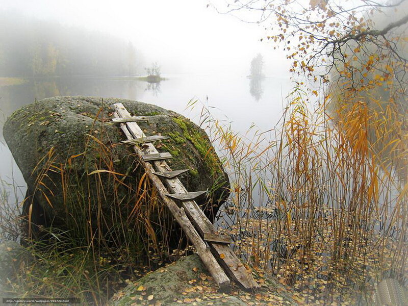 Foggy lake with wooden ladder