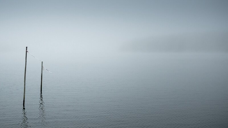Foggy lake with wooden poles