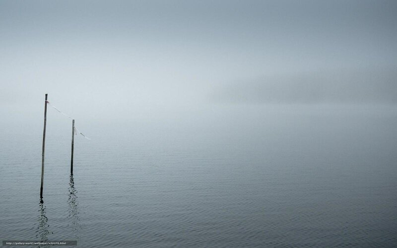 Foggy lake with wooden poles