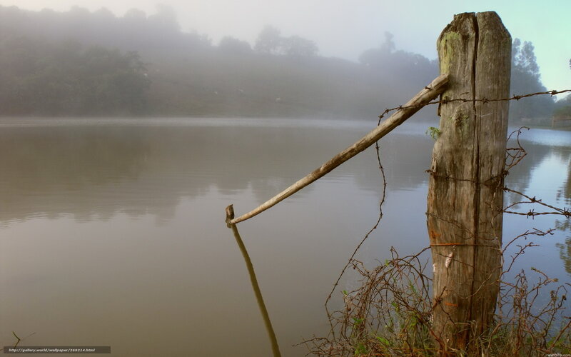 Foggy lake with wooden post