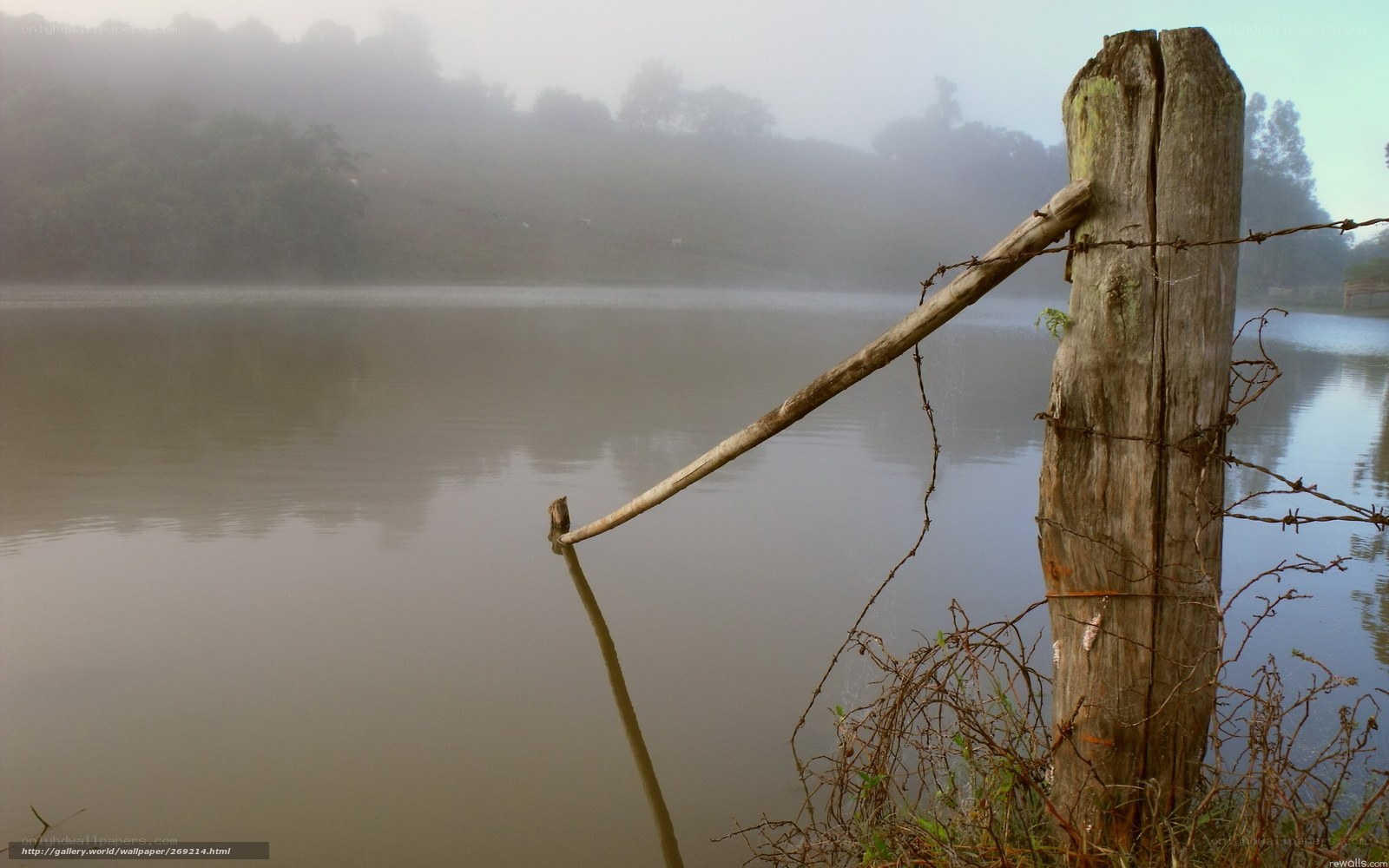 Foggy lake with wooden post