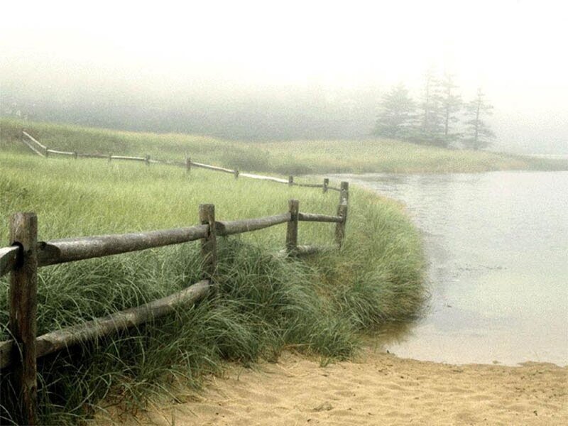 Foggy Lakeside Fence