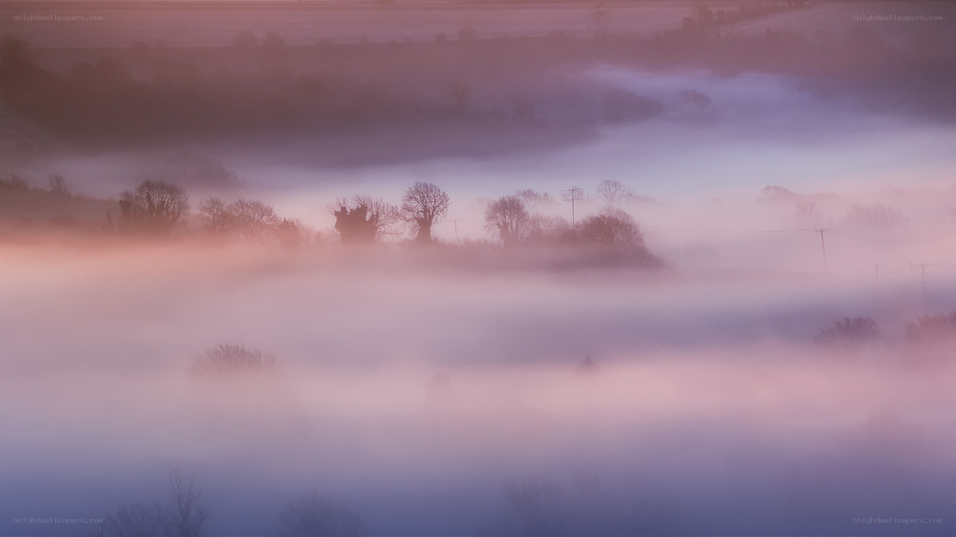 Foggy landscape at dawn