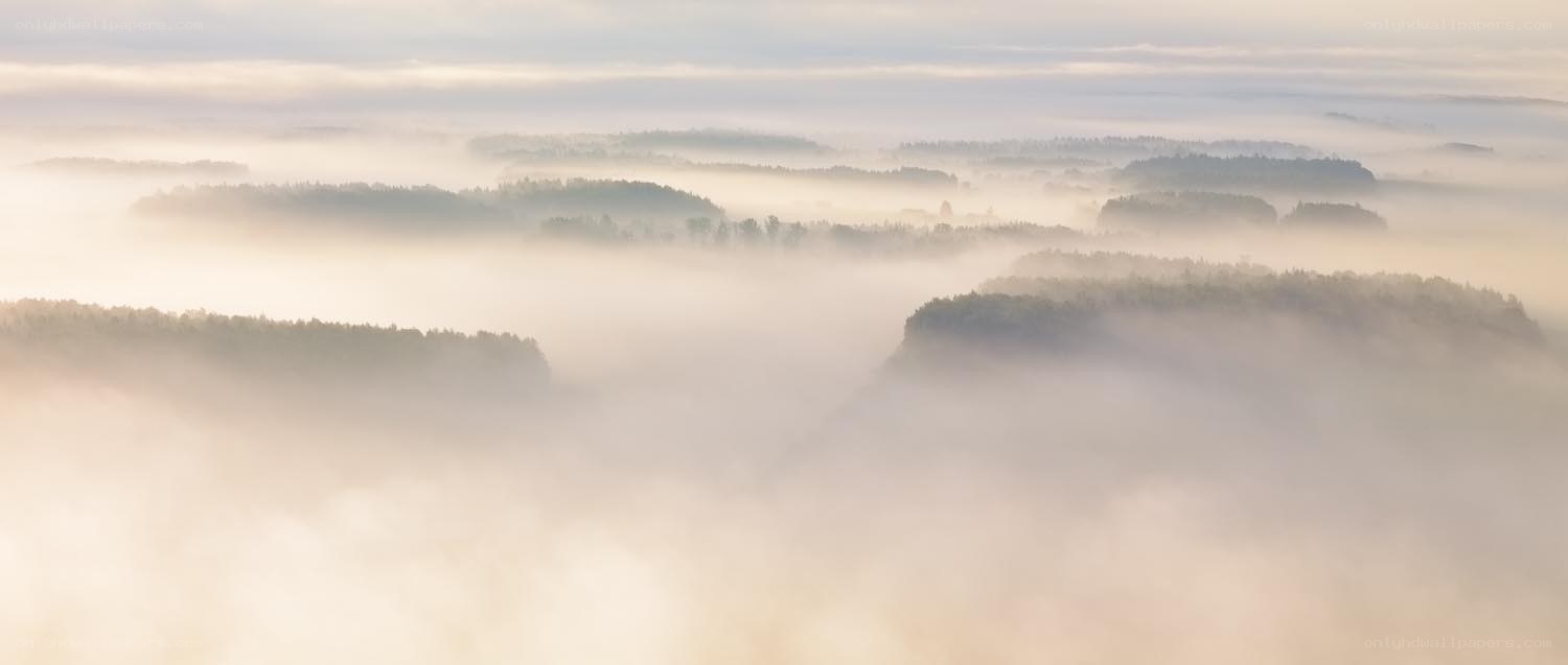 Foggy landscape at dawn
