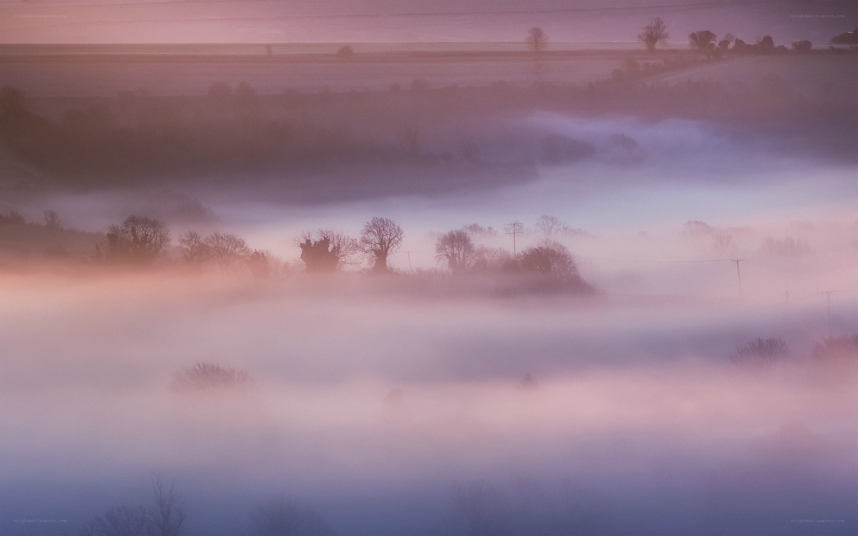 Foggy landscape at dawn