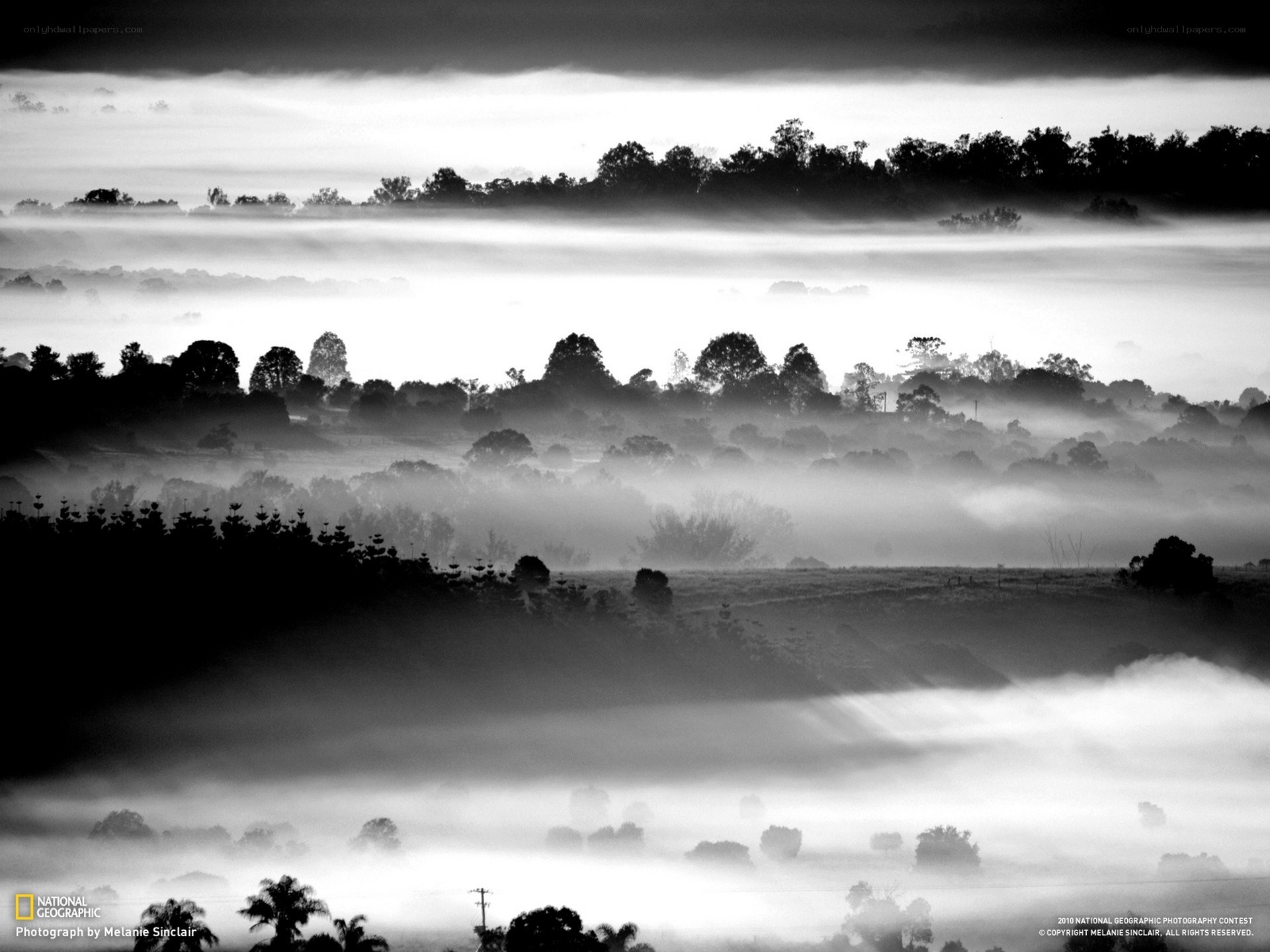 Foggy landscape at dawn
