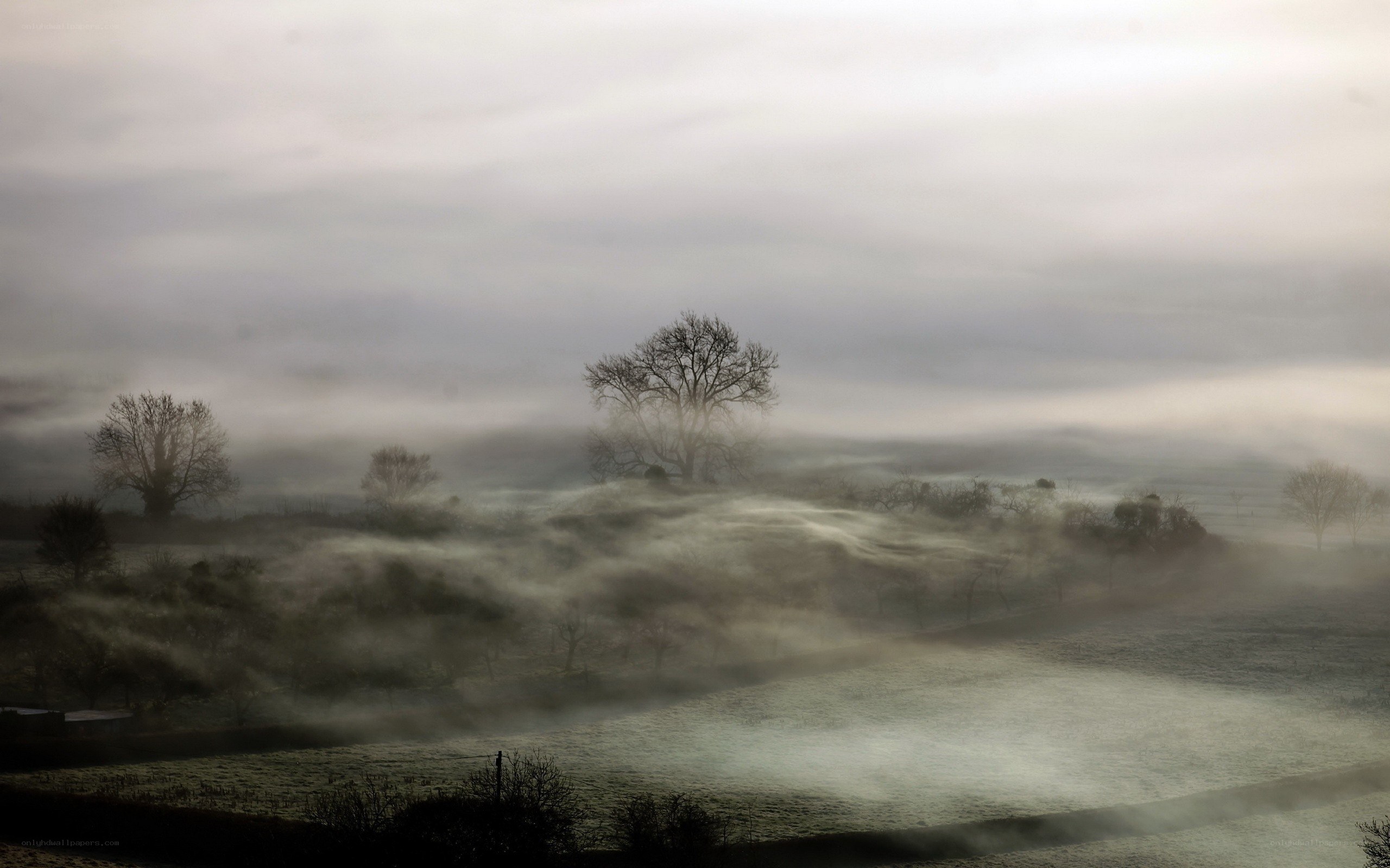 Foggy landscape at dawn