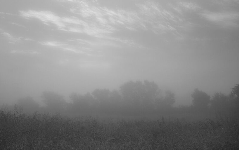 Foggy landscape at dawn