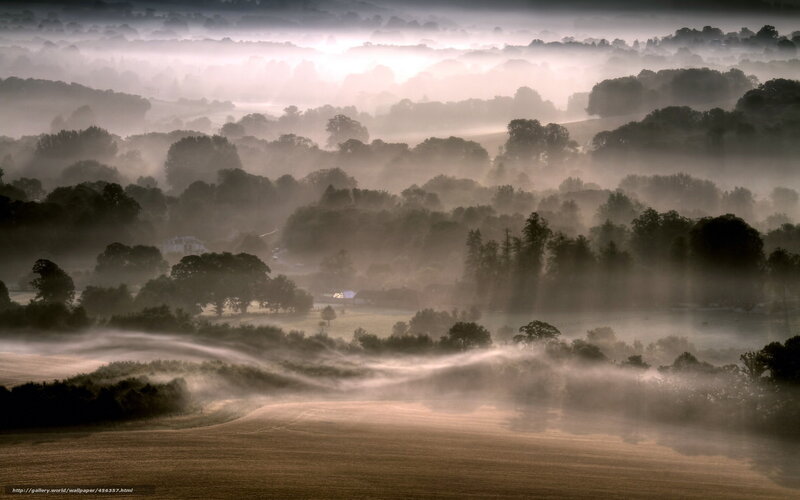 Foggy Landscape at Dawn — Brown