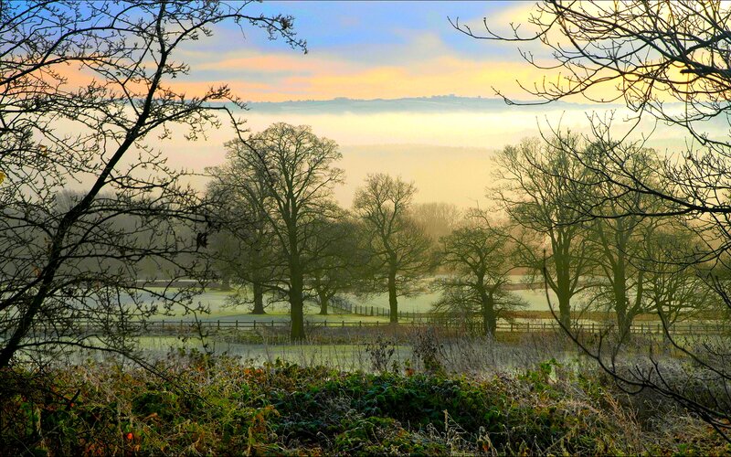 Foggy Landscape at Dawn — Green